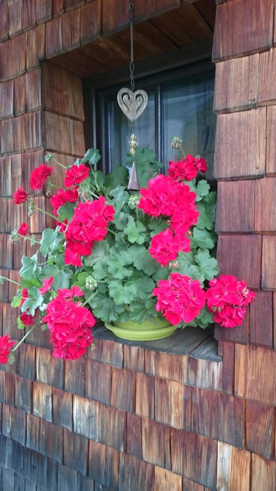 Hüttenzauber Taxenbach Exterior foto